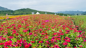 承德牧蓝谷生态旅游度假区