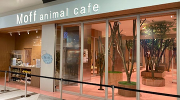 Moff animal cafe LaLaport Fukuoka