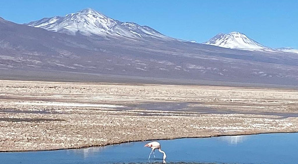 Salar de Atacama