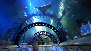 亨斯坦顿海洋生物馆