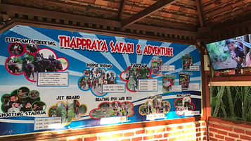 芭堤雅野生大象公园