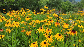 万花谷旅游度假区