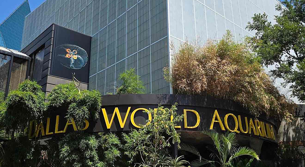 达拉斯水族馆