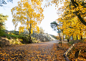 赫尔辛基动物园