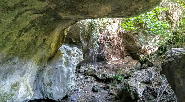 Dzudzuana Cave