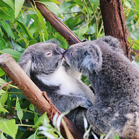 热带雨林自然公园