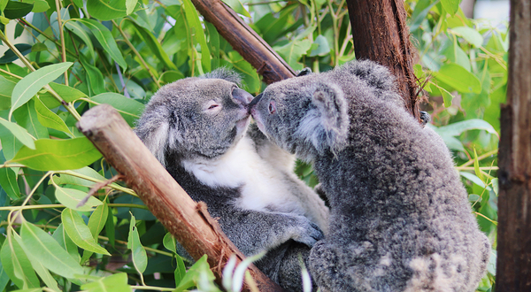 热带雨林自然公园