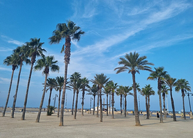 玛尔瓦罗萨海滩