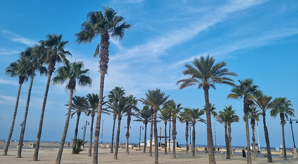 玛尔瓦罗萨海滩