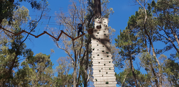 Forest Adventures South West