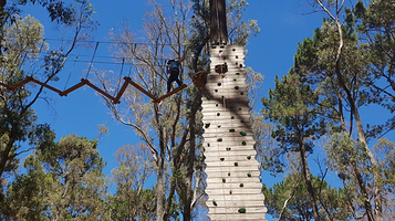 Forest Adventures South West