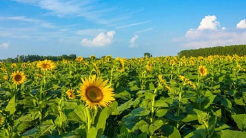 泸州五彩萌宠乐园