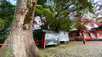 宇佐神宫 西大门