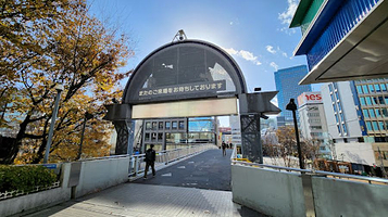 Tokyo Dome Roller Skate Arena