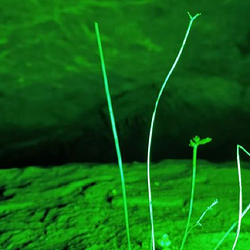 龙眼洞旅游景区