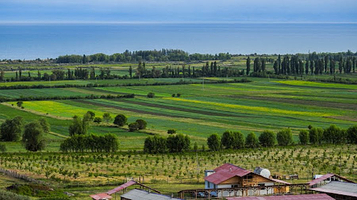 Kyzyl-Tash Agritourism Farm (Агротуристическая ферма Кызыл-Таш)