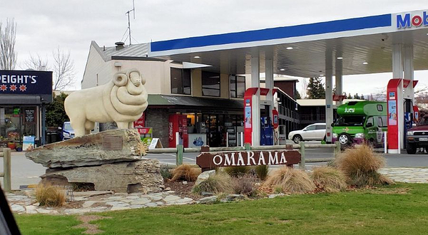 Omarama Sheep Statue