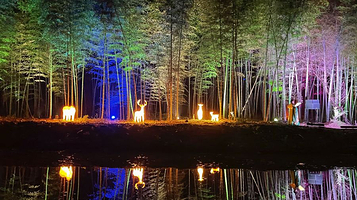 《悟道·汉仙岩》山水实景光影剧