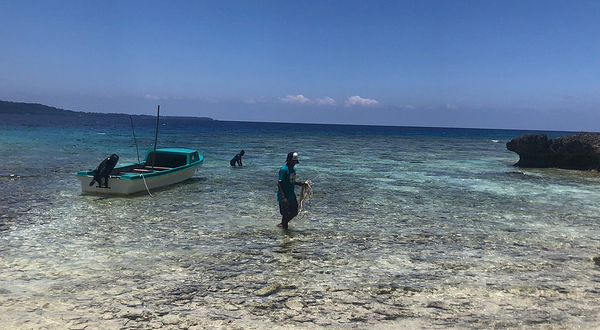 洛伊•玛塔酋长领地