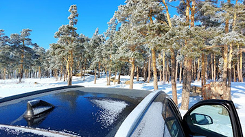 Tsentral'nyy Stadion