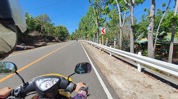 Uela’s Three Mangrove Trees