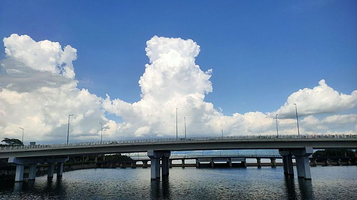 深圳湾公园-B区