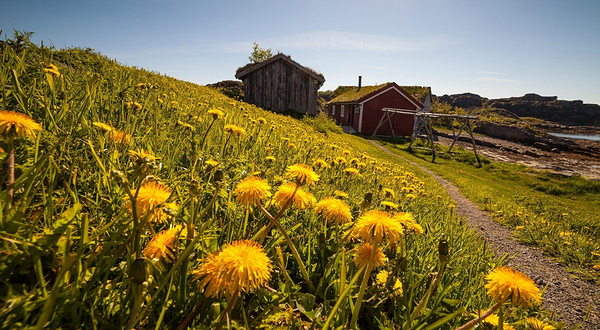 罗弗敦群岛博物馆