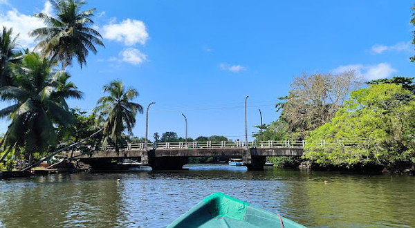 Madu Ganga Boat Safari