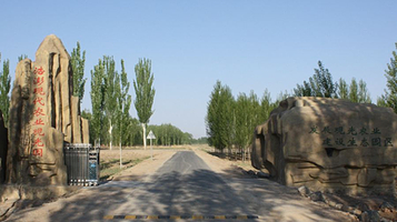 彤锣湾艺术花海