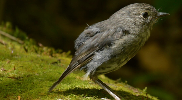 芒格陶塔伊山生态保护区
