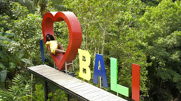 Luwak Civet咖啡农场