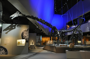 李光前自然历史博物馆