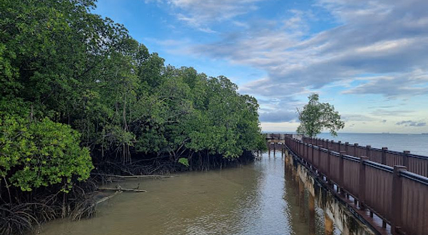 Pantai Cahaya Negeri Camp Grounds North
