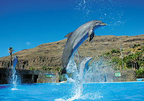 帕尔米图斯动植物园