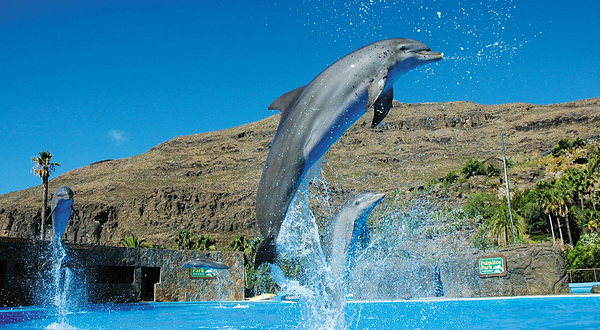 帕尔米图斯动植物园