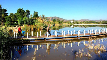 元谋凤凰湖公园