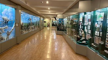 North Kazakhstan Regional History and Local Lore Museum