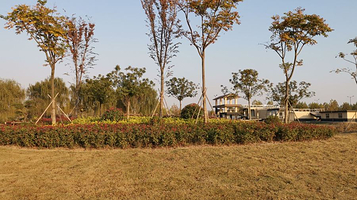 灌南县硕项湖湿地公园