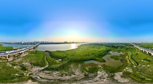 Bãi bồi vườn nhãn Sông Hồng