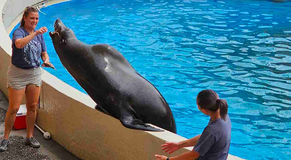 迈阿密水族馆