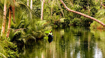 Sapa sa Maasin River