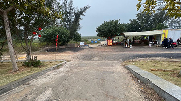 吴大姐红树林赶海