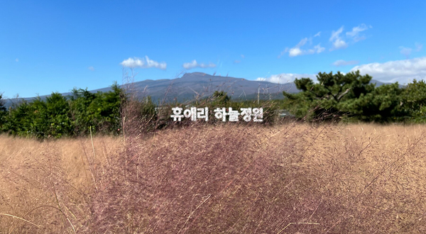 休爱里自然生活公园