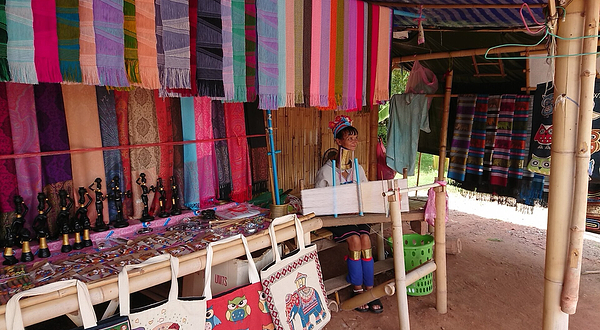 丹嫩沙多大象园