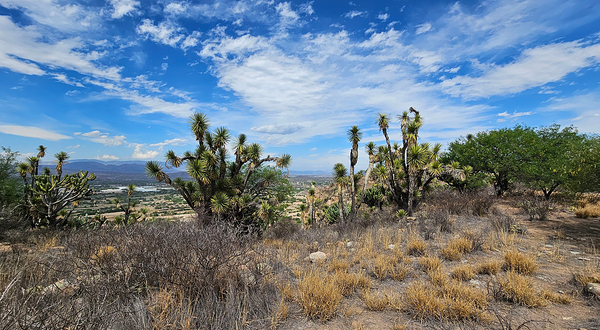 Zona Arqueologica de Pahnu
