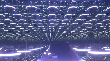 Museum of the imagination