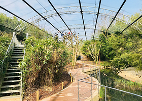 Bird park Villars les Dombes