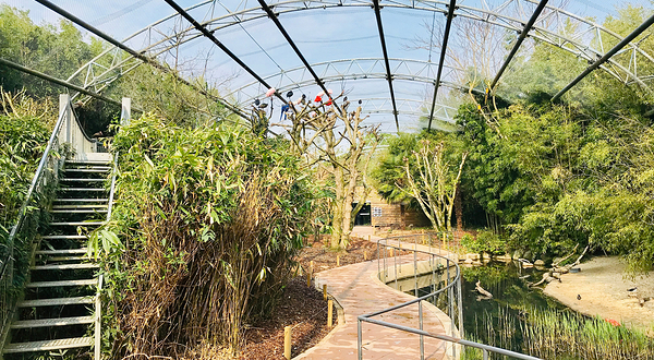 Bird park Villars les Dombes