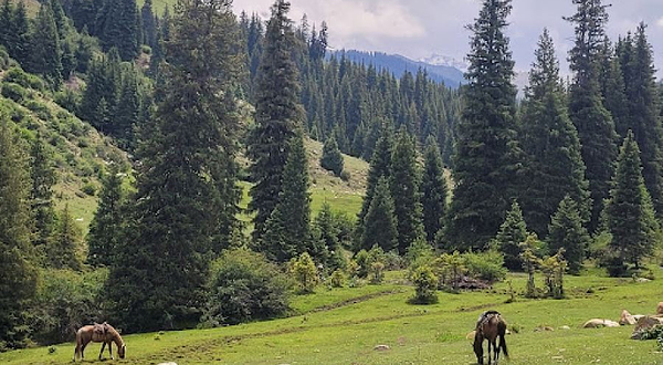 Maksat Horse Trekking