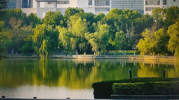 南京航空航天大学(将军路校区)-砚湖